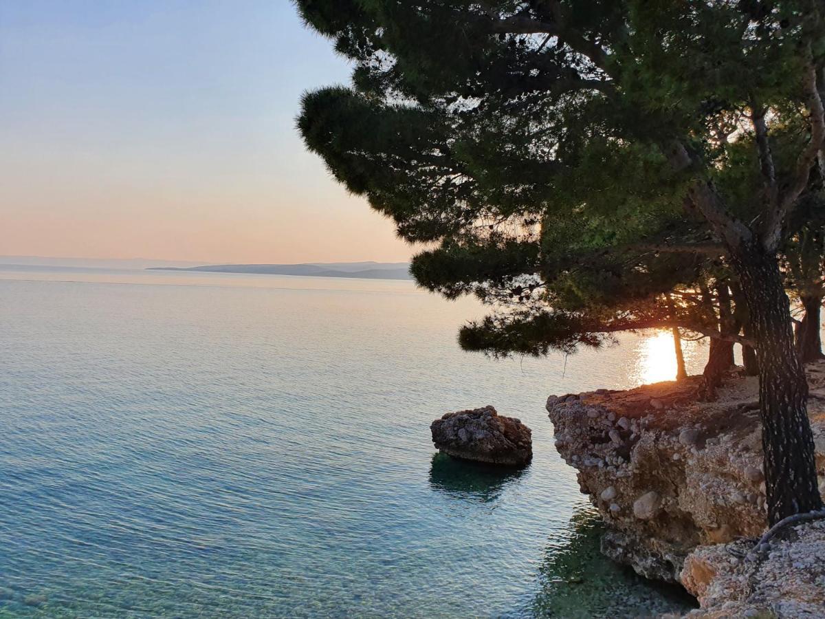 Villa La Vita Baška Voda المظهر الخارجي الصورة